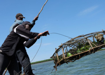ケニア：持前の明るさとたくましさで乗り切る