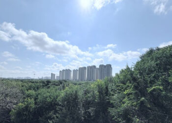 保護中: 二重の負荷―ドイツから満州を見る