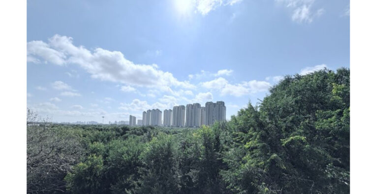 保護中: 二重の負荷―ドイツから満州を見る